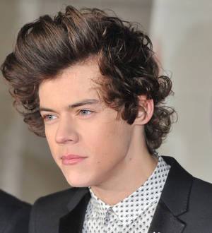Harry Styles: 'I wasn't drunk at One Direction concert'