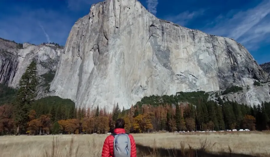 Why So Many People Are Buzzing About The Documentary 'Free Solo'!