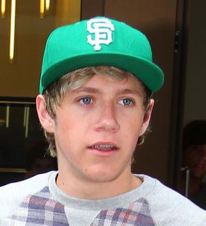 Niall Horan and Liam Payne play impromptu gig at shopping mall