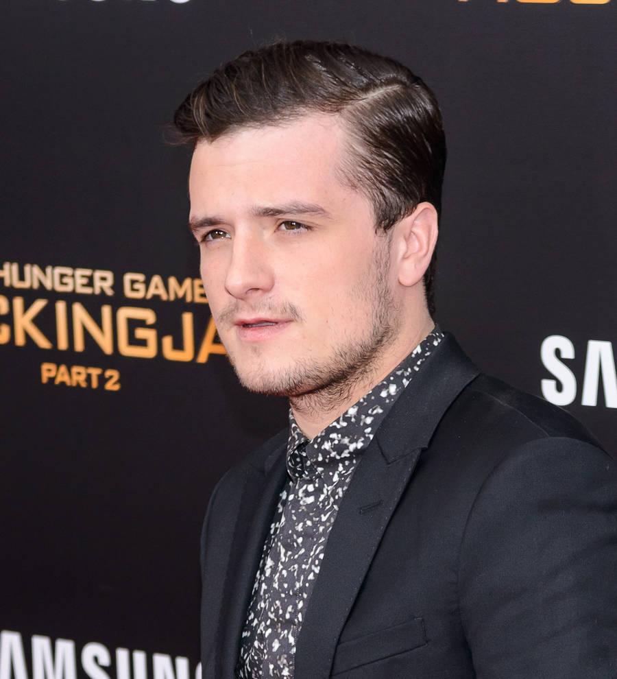 Josh Hutcherson injures leg