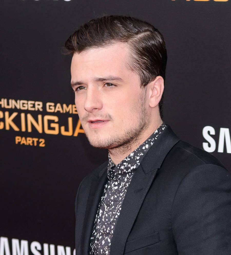 Josh Hutcherson injures leg