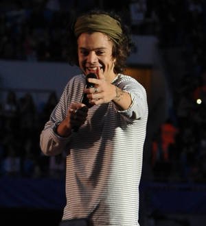 Harry Styles not quitting One Direction to go solo, says rep