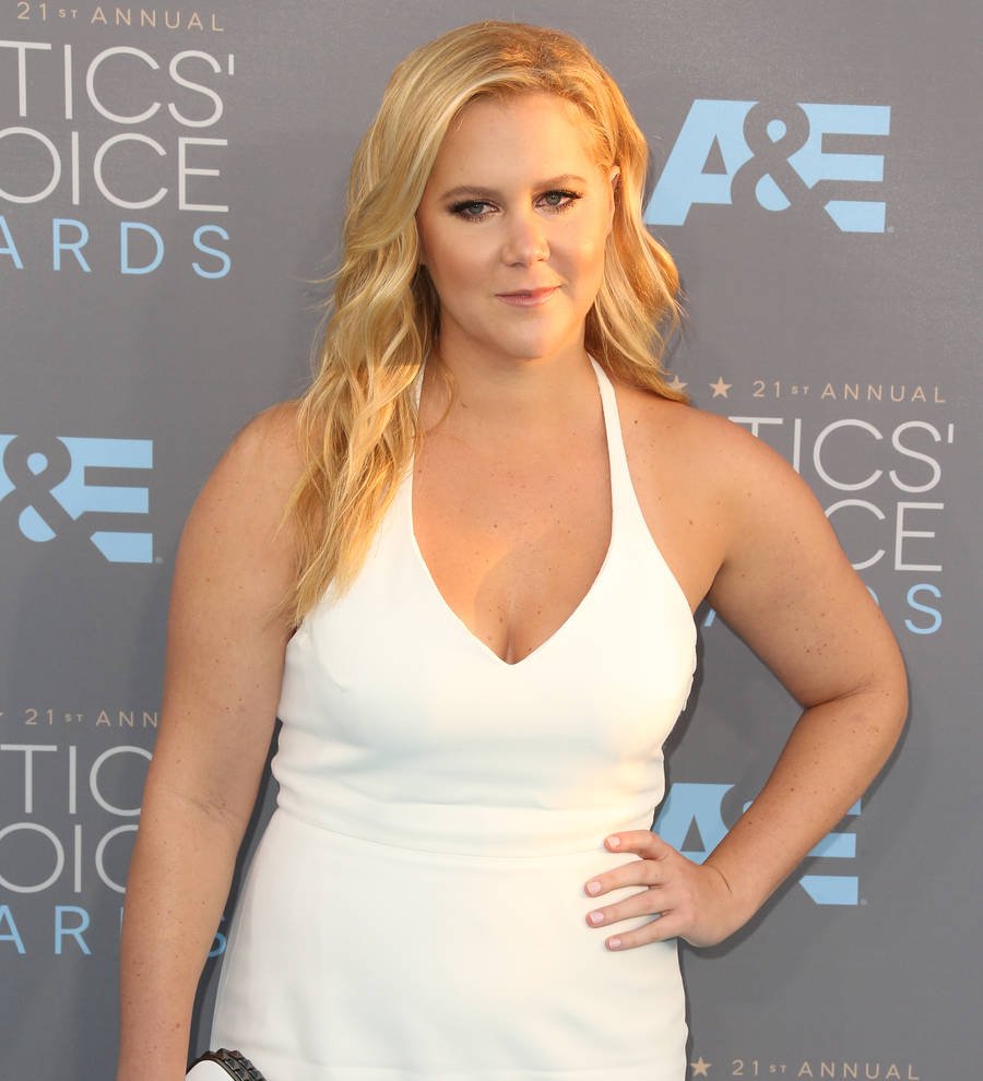 Amy Schumer scores DJ Khaled jet ski ride with,000 donation