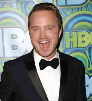 Aaron Paul and Kate Upton tipped as stars of 2014