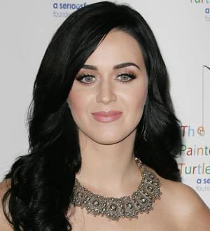 Katy Perry is 2013's hottest woman