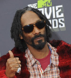 Snoop Dogg's marijuana party shut down