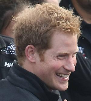 Prince Harry's Polar trek suspended