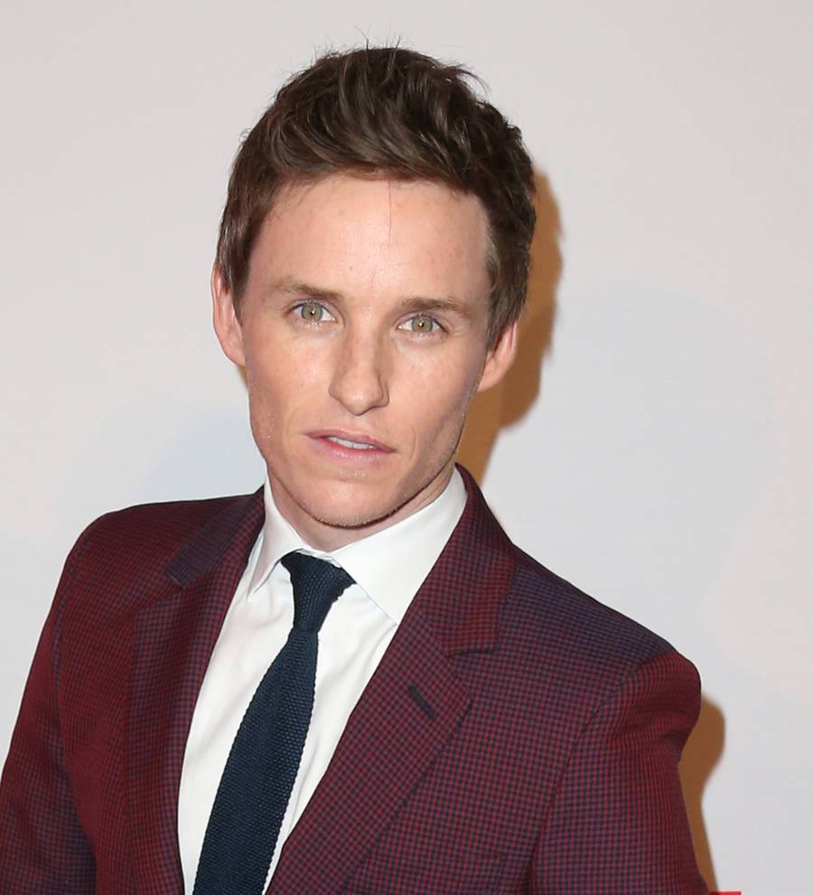Eddie Redmayne and Fifty Shades of Grey win big at Razzies