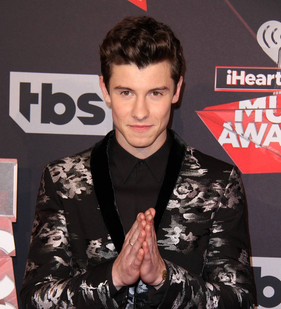 Shawn Mendes to Star in Ivan Reirman Movie Musical