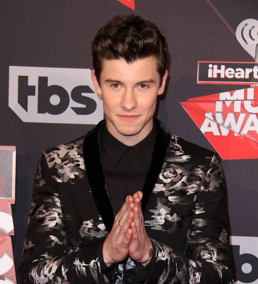 Shawn Mendes to Star in Ivan Reirman Movie Musical