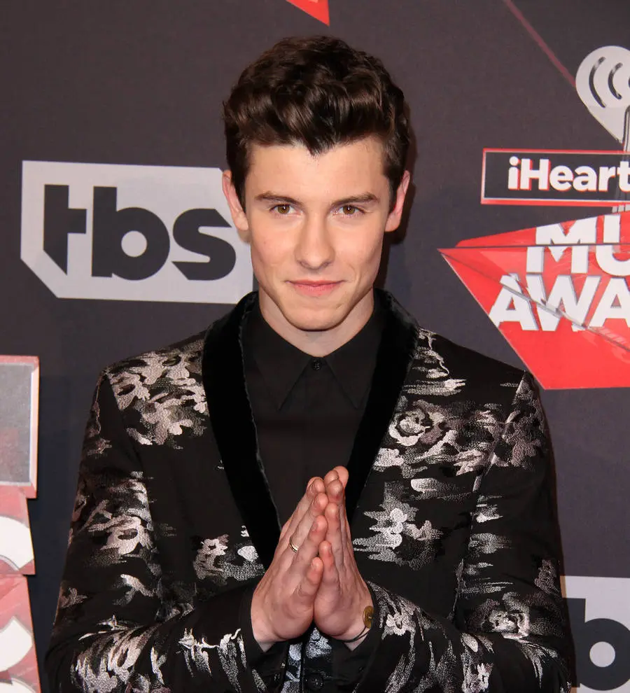 Shawn Mendes to Star in Ivan Reirman Movie Musical