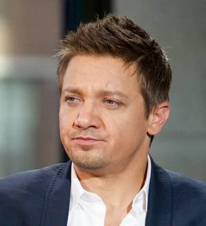 Jeremy Renner settles custody battle with estranged wife