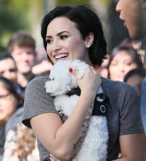 Demi Lovato and Wilmer Valderrama mourning loss of dog