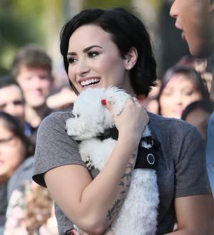 Demi Lovato and Wilmer Valderrama mourning loss of dog