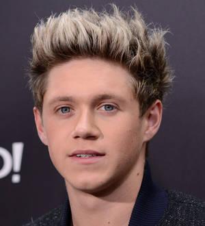 Niall Horan fears bad knees will hobble his career