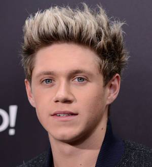 Niall Horan opens up about scary airport encounter with paparazzi
