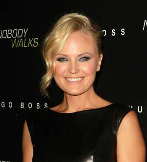 Pregnant Malin Akerman burns hand