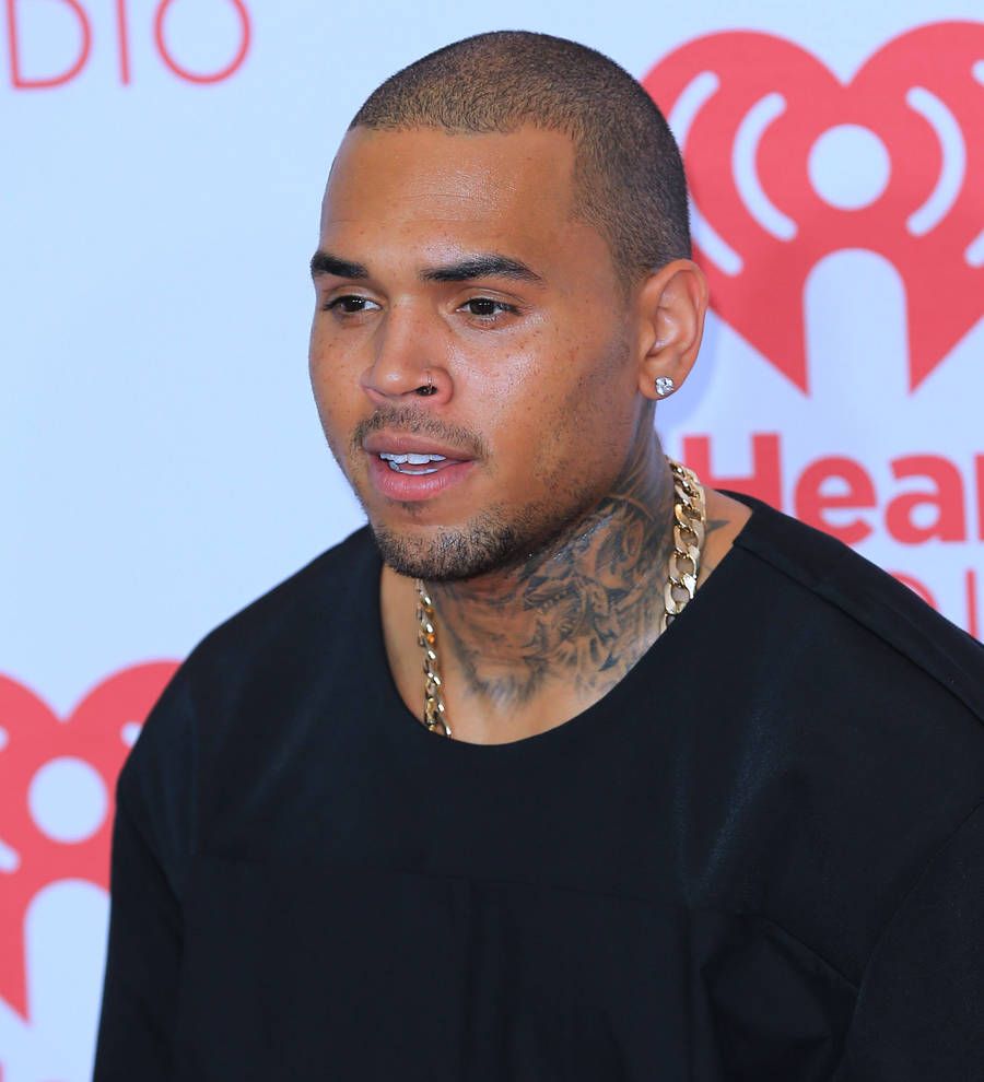 Chris Brown hands out Thanksgiving turkeys