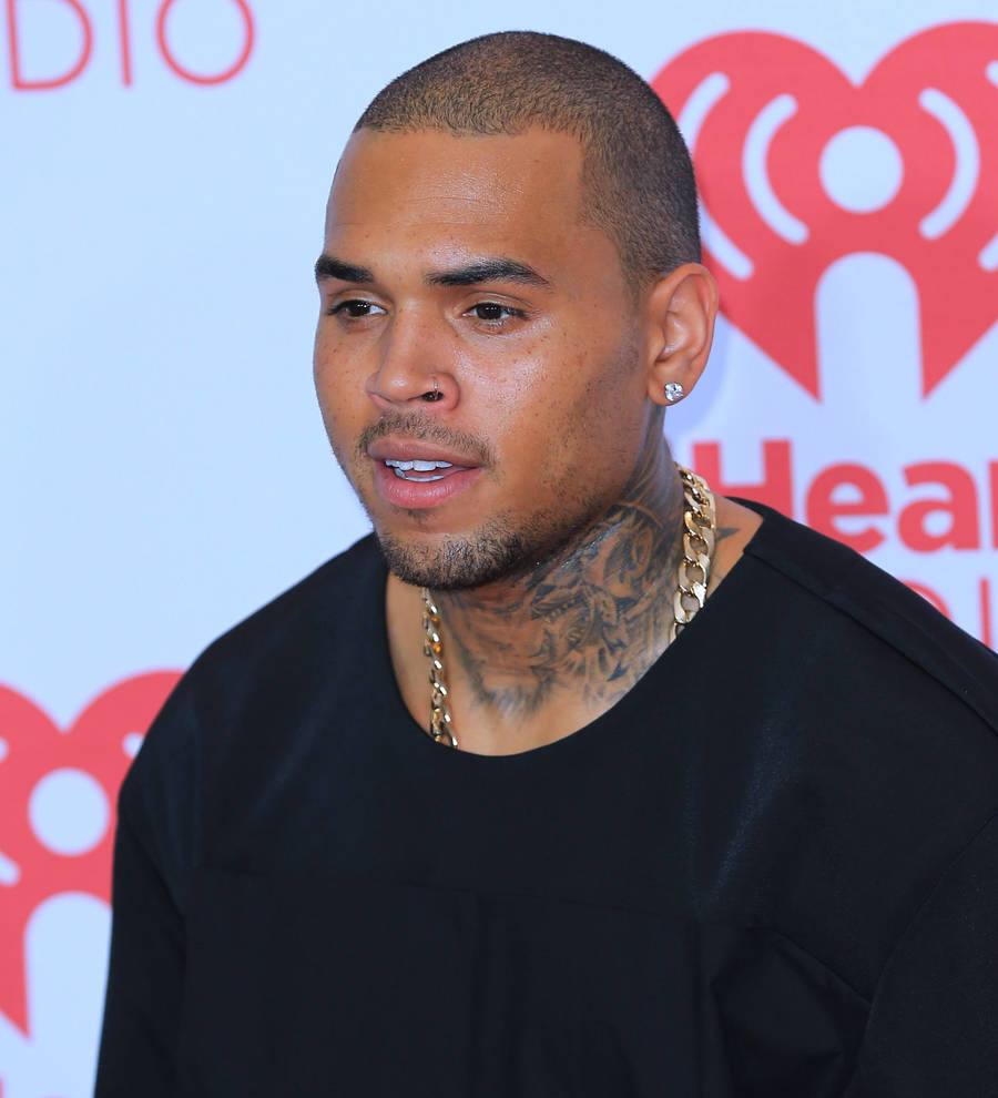 Chris Brown hands out Thanksgiving turkeys