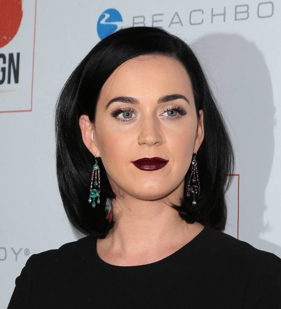 Katy Perry and John Mayer ring in 2016 together
