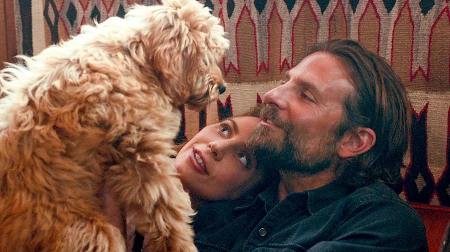 A Doge Is Born: Charlie & Other Celebrity Pets Ready For Their Close-Up!