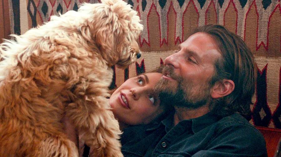 A Doge Is Born: Charlie & Other Celebrity Pets Ready For Their Close-Up!