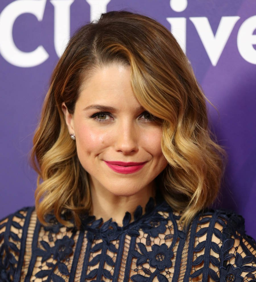Sophia Bush reunites with co-star beau - report