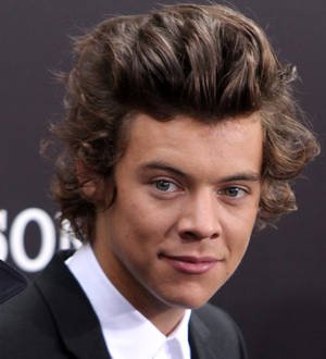 Harry Styles surrounded by 20 guards in New York
