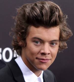 Liam Payne: 'I would absolutely hate to be Harry Styles'
