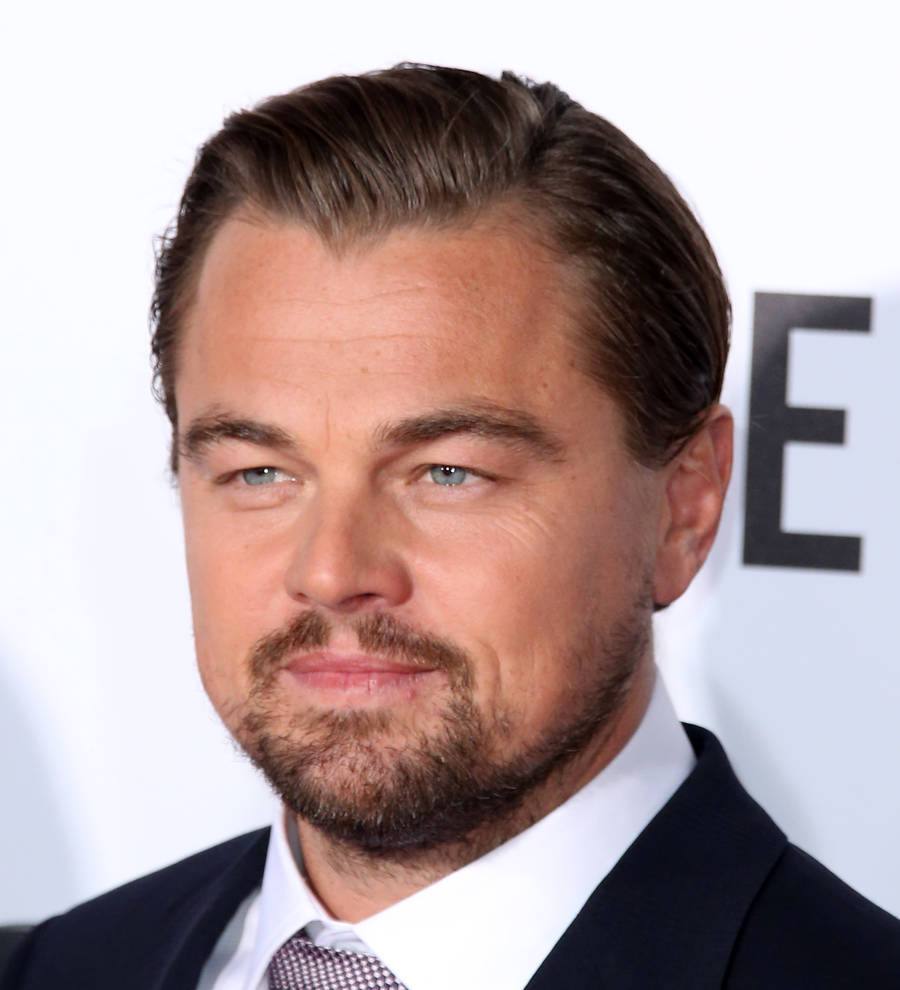Leonardo DiCaprio still open to marriage