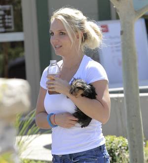 Britney Spears' investments revealed