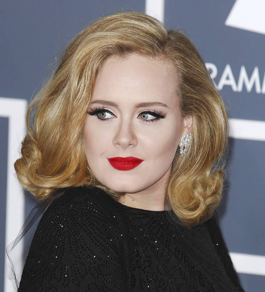 Adele: 'I've never been attracted to fame'