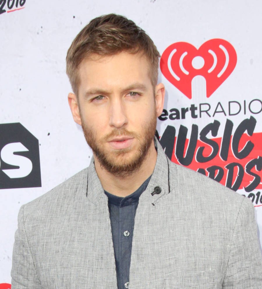 Calvin Harris throws pal's stag do at T in the Park