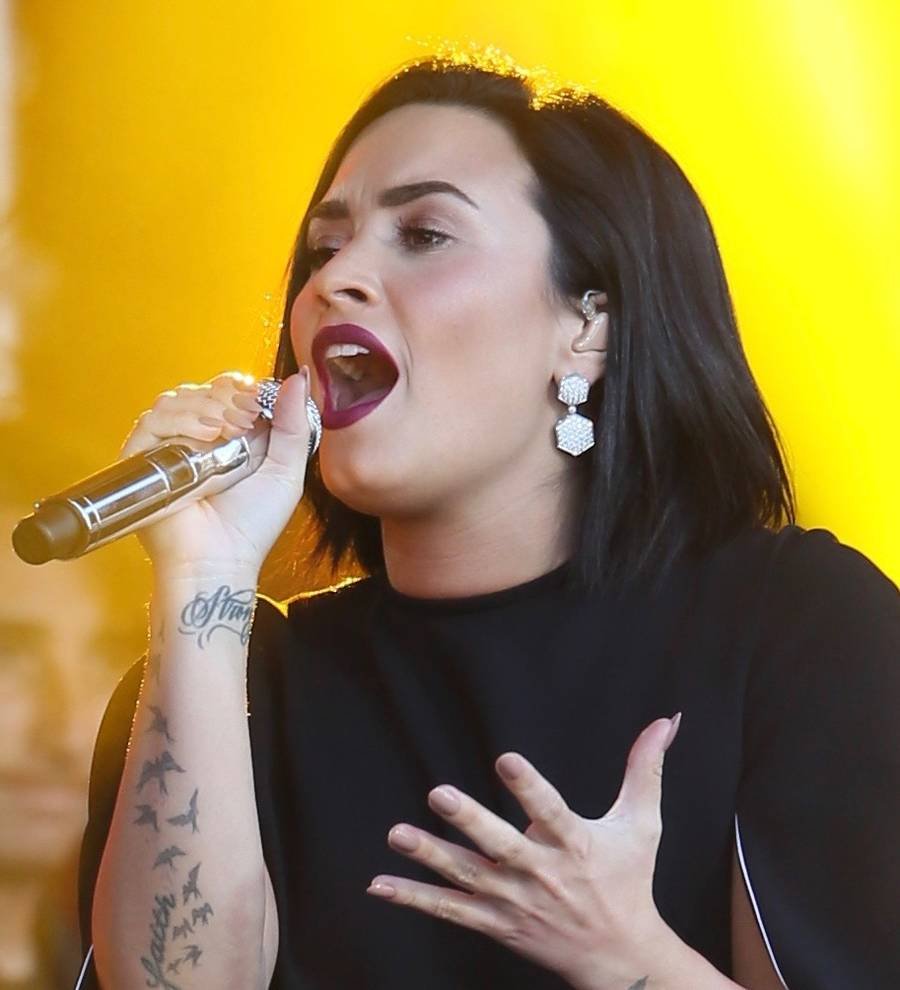 Demi Lovato: 'Sexuality doesn't need to be labelled'
