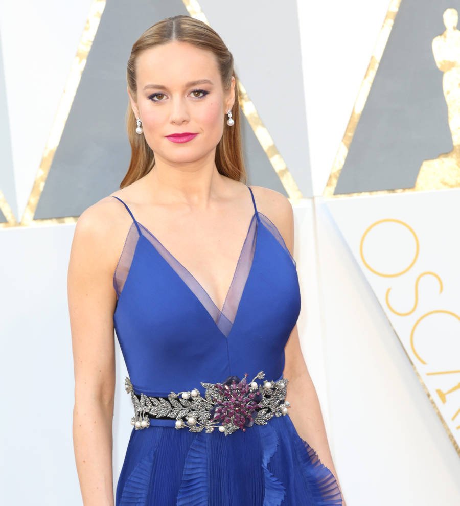 Brie Larson apologises for controversial dolphin photo