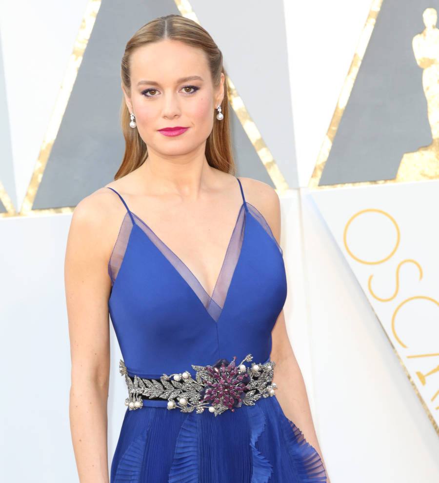 Brie Larson apologises for controversial dolphin photo