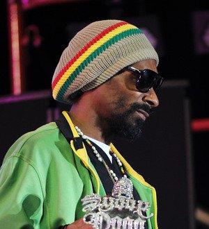 Snoop Dogg fans disappointed as festival gets axed over safety fears