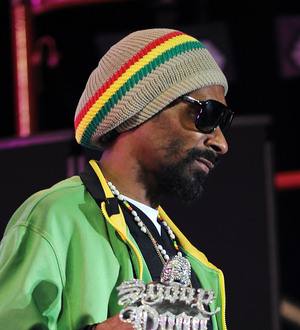 Snoop Dogg fans disappointed as festival gets axed over safety fears