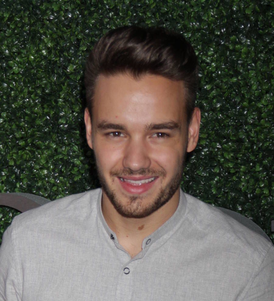 Liam Payne 'devastated' by love split