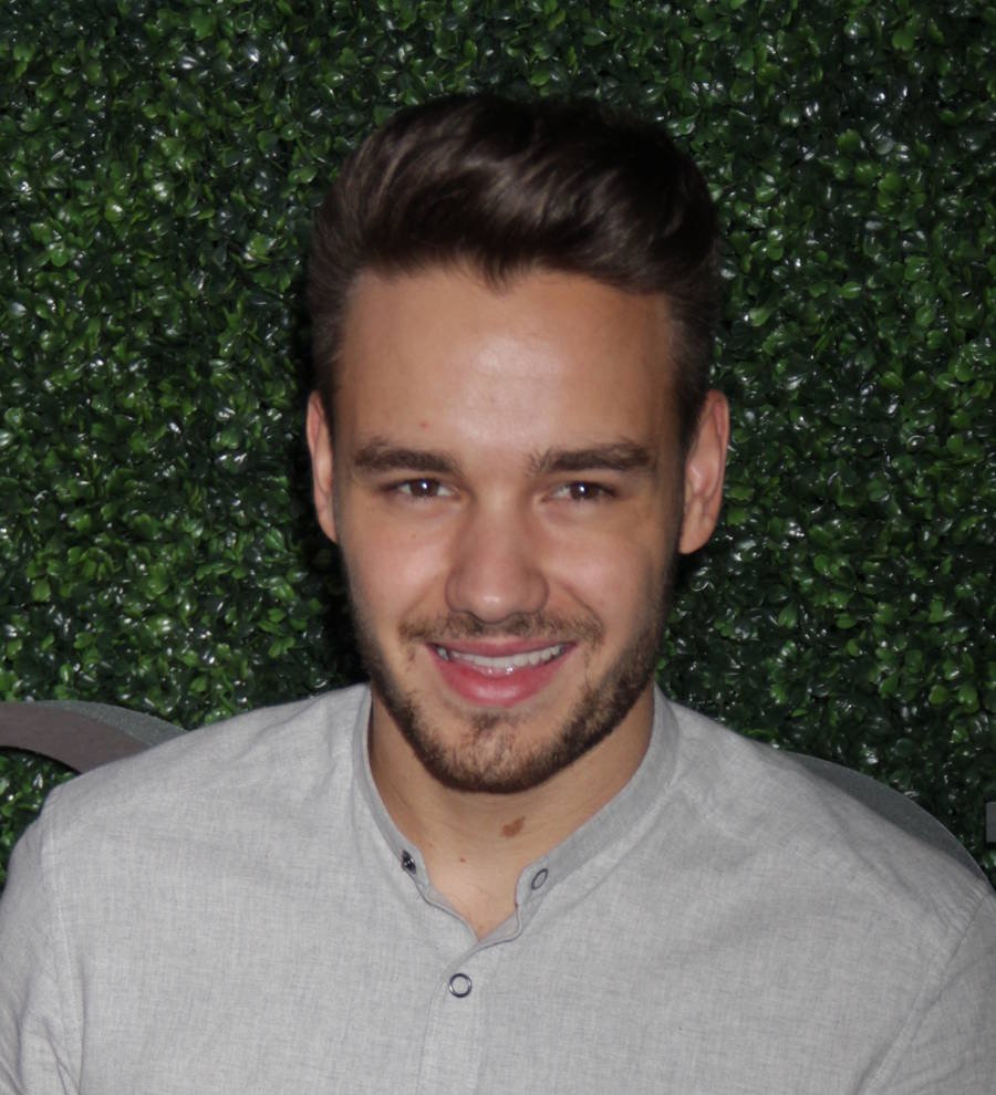 One Direction cancel Northern Ireland gig as Liam Payne falls ill