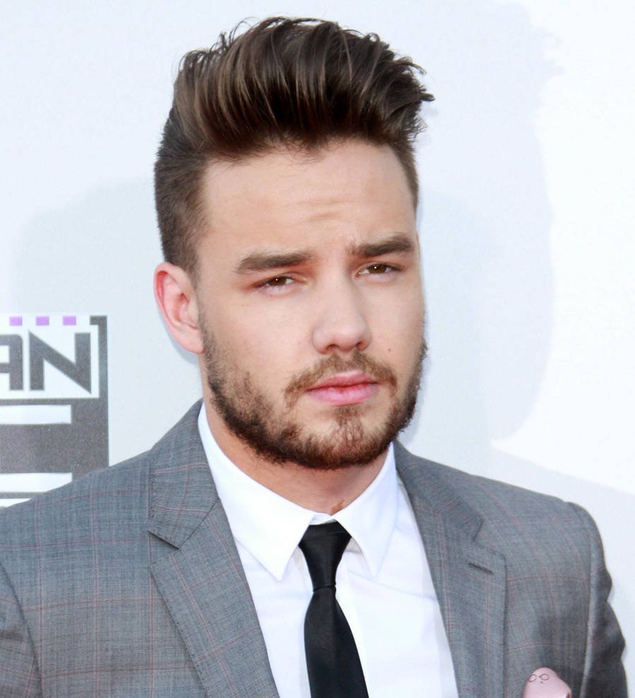 Liam Payne recording new material with Oscar winner Juicy J