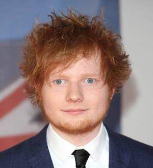 Ed Sheeran didn't recognise royal drinking pals