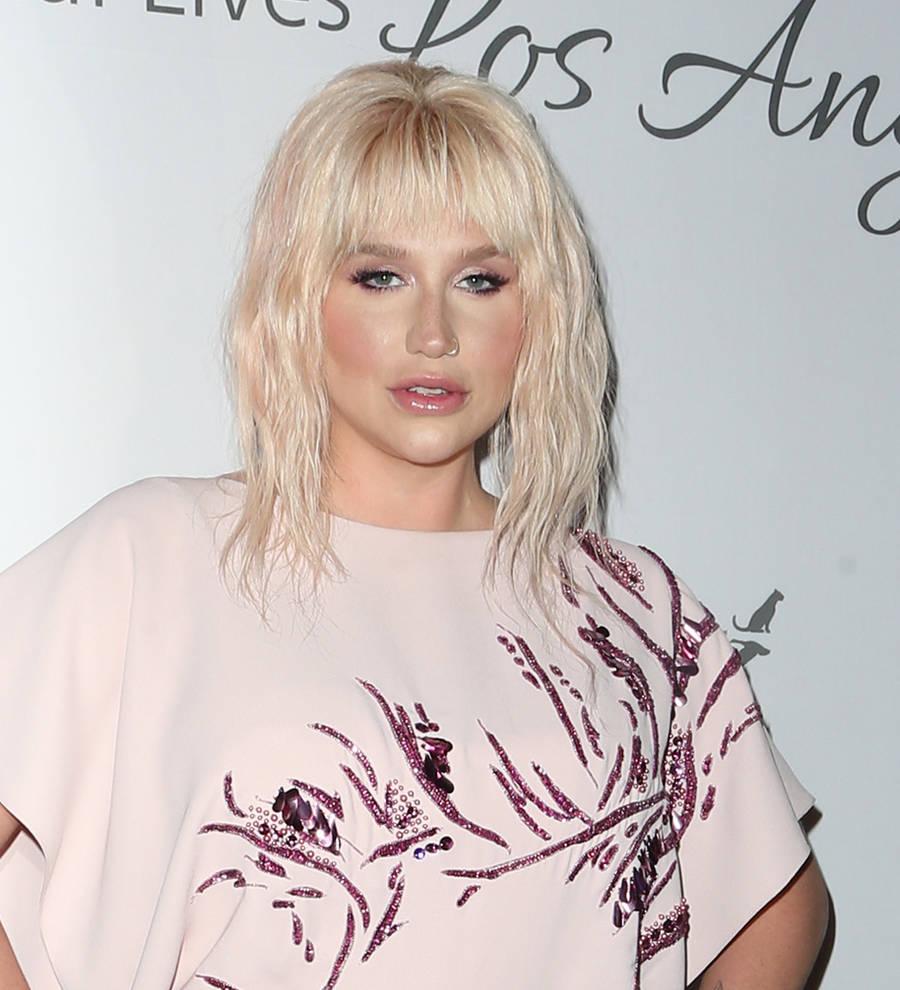 Kesha: 'My fight against Dr. Luke continues'