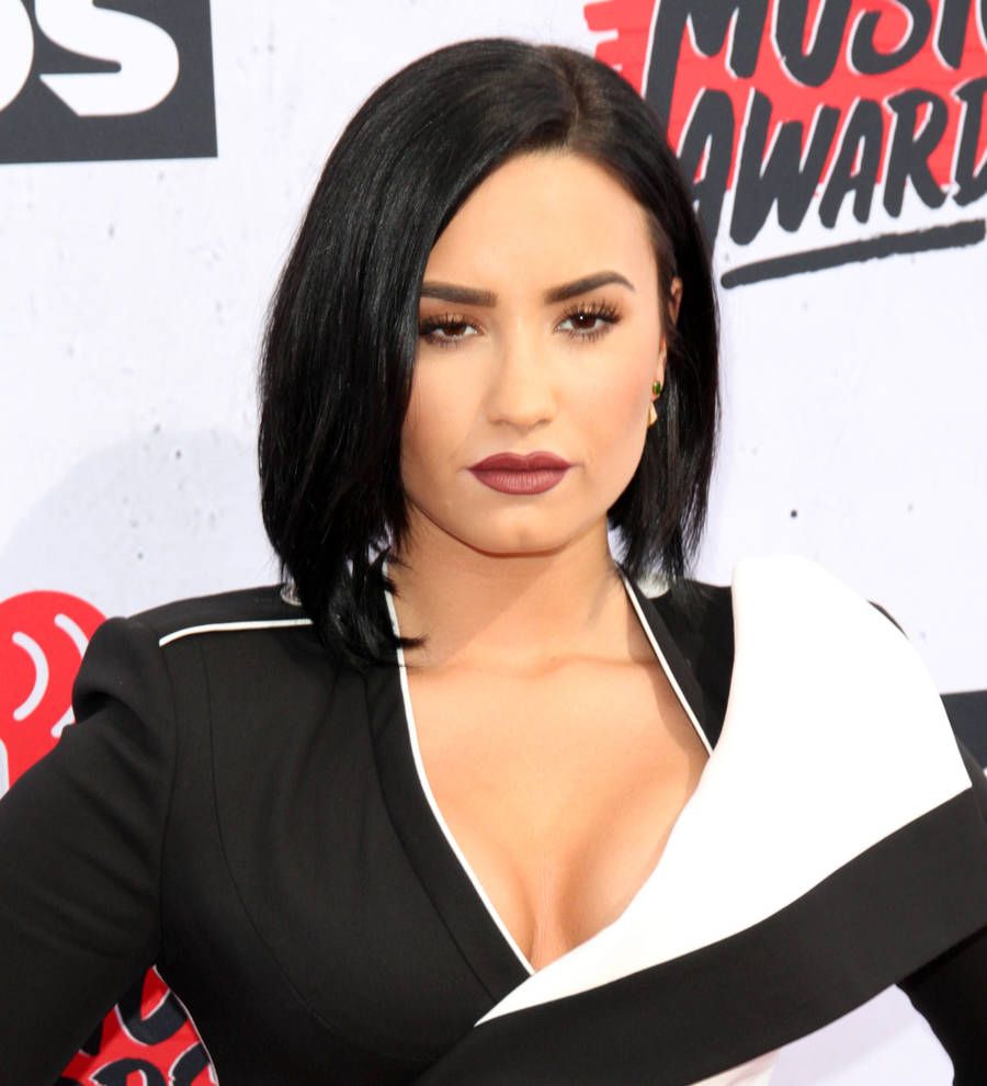 Demi Lovato takes aim at superfan for socialising with half-sister