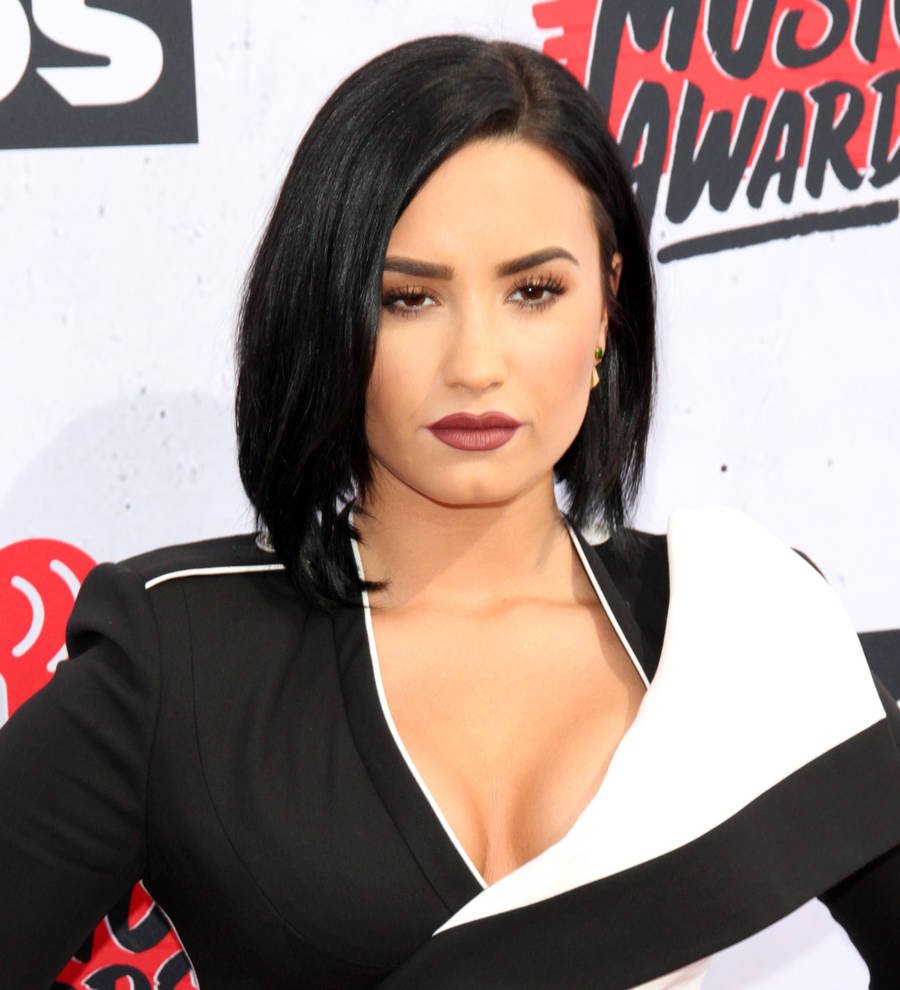 Demi Lovato campaigns for mental health reform at DNC
