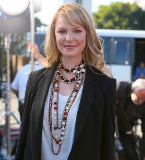 Katherine Heigl leads campaign to find Sochi strays a home
