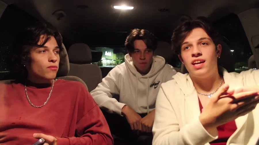VIRAL ALERT: Sturniolo Triplets
