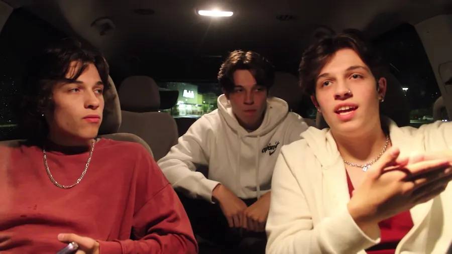 VIRAL ALERT: Sturniolo Triplets