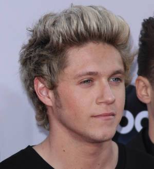Niall Horan to let Rory McIlroy sing at One Direction show