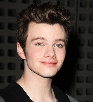 Colfer concerned about fan backlash to gay sex Glee episode
